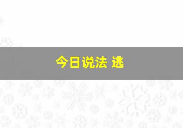 今日说法 逃